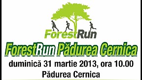 Forest Run ~ 2013